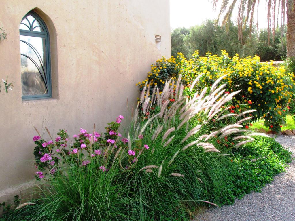Le Jardin Des Epices Hotell Taroudant Exteriör bild