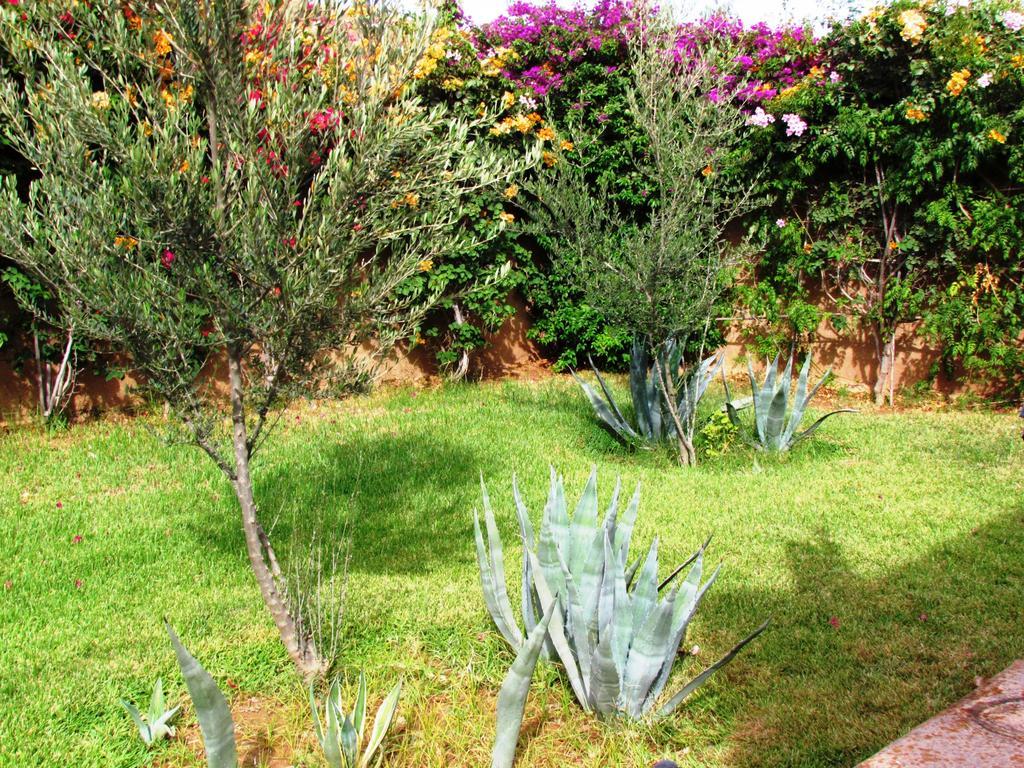 Le Jardin Des Epices Hotell Taroudant Exteriör bild