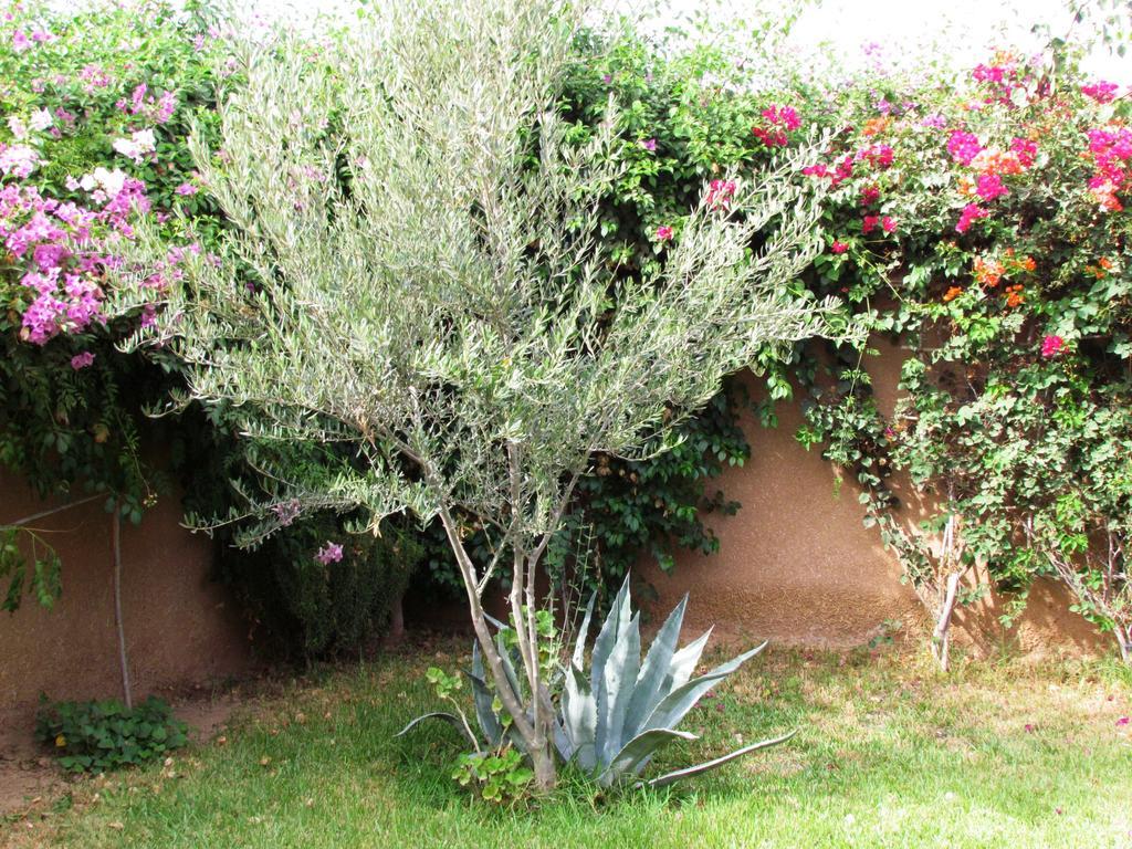 Le Jardin Des Epices Hotell Taroudant Exteriör bild