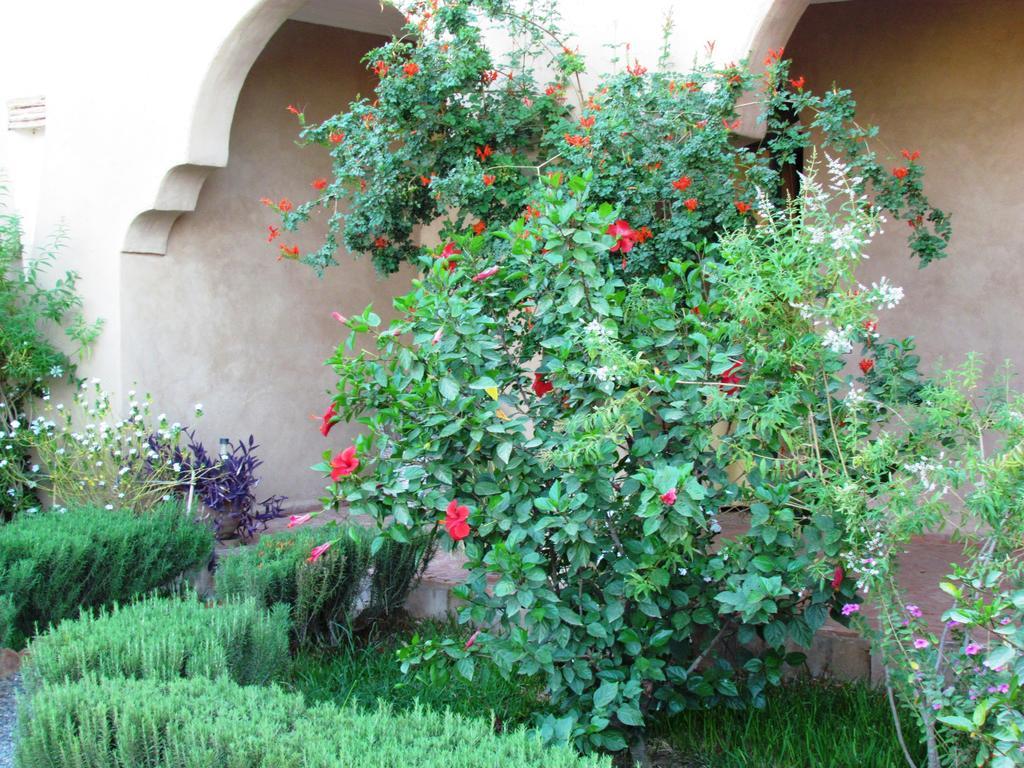 Le Jardin Des Epices Hotell Taroudant Exteriör bild