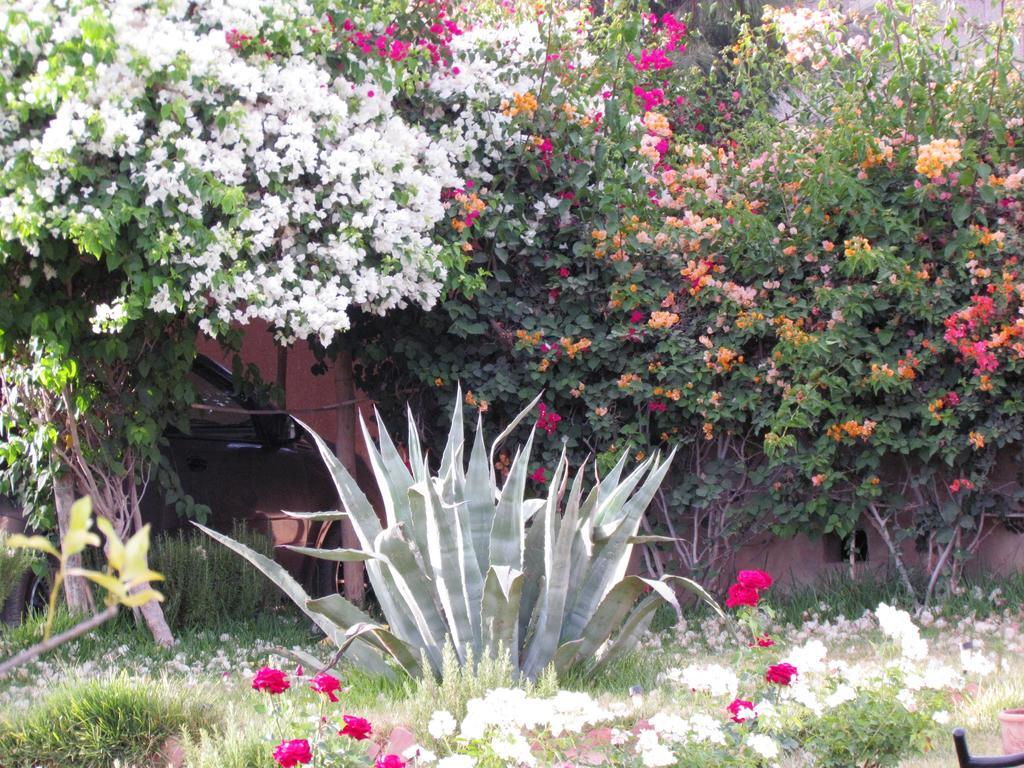 Le Jardin Des Epices Hotell Taroudant Exteriör bild